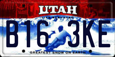 UT license plate B163KE