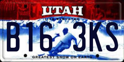 UT license plate B163KS