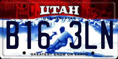 UT license plate B163LN