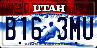 UT license plate B163MU