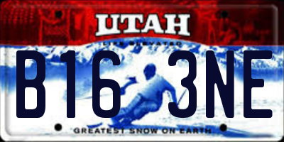 UT license plate B163NE