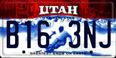 UT license plate B163NJ