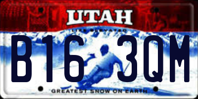 UT license plate B163QM