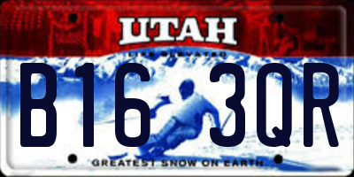 UT license plate B163QR