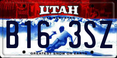UT license plate B163SZ