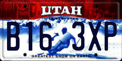 UT license plate B163XP
