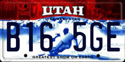 UT license plate B165GE