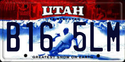 UT license plate B165LM