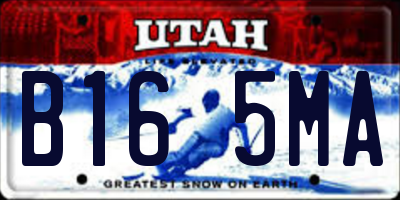 UT license plate B165MA
