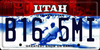 UT license plate B165MI