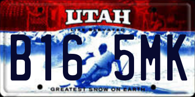 UT license plate B165MK