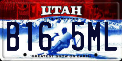 UT license plate B165ML