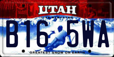 UT license plate B165WA