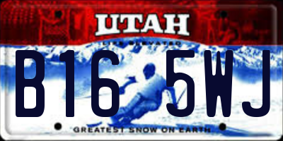 UT license plate B165WJ
