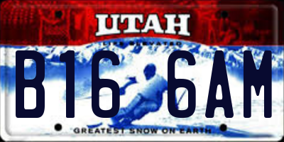UT license plate B166AM