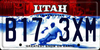 UT license plate B173XM