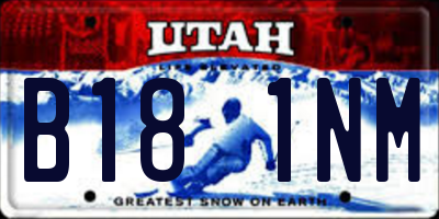 UT license plate B181NM