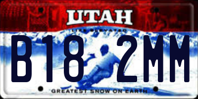 UT license plate B182MM