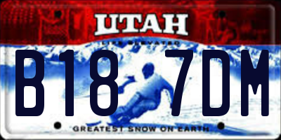 UT license plate B187DM