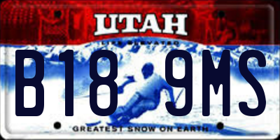 UT license plate B189MS