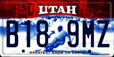 UT license plate B189MZ