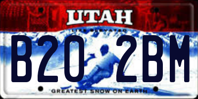 UT license plate B202BM