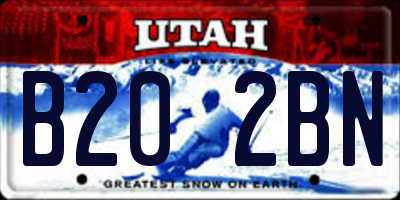 UT license plate B202BN