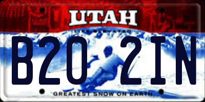 UT license plate B202IN