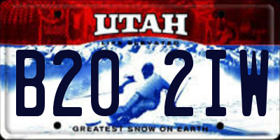 UT license plate B202IW