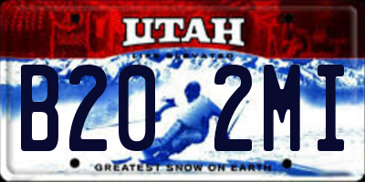 UT license plate B202MI