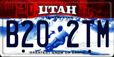 UT license plate B202TM