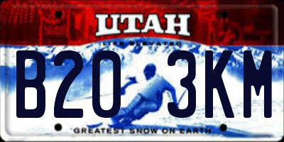 UT license plate B203KM