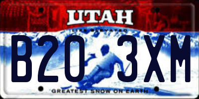 UT license plate B203XM