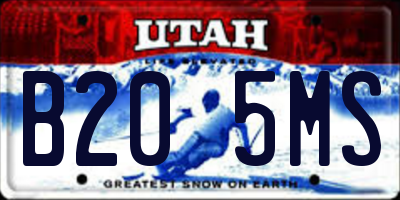 UT license plate B205MS
