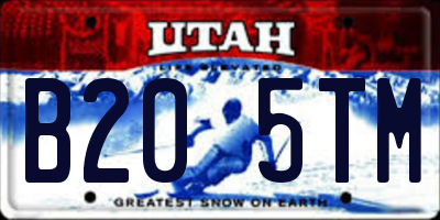 UT license plate B205TM