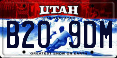 UT license plate B209DM