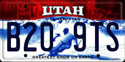 UT license plate B209TS