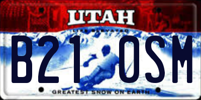 UT license plate B210SM