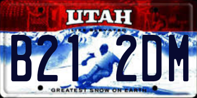 UT license plate B212DM