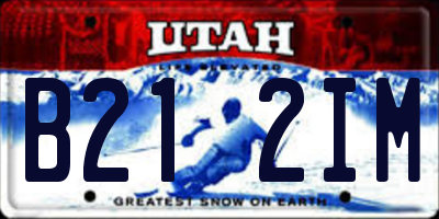 UT license plate B212IM