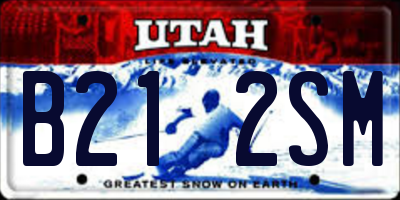 UT license plate B212SM