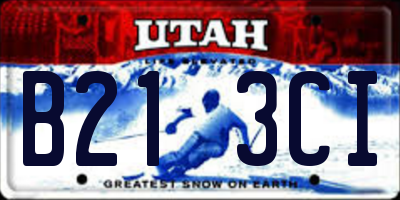 UT license plate B213CI
