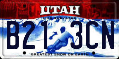 UT license plate B213CN