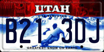 UT license plate B213DJ