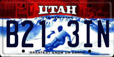 UT license plate B213IN