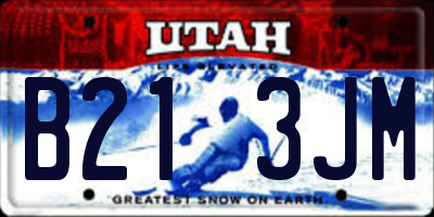 UT license plate B213JM
