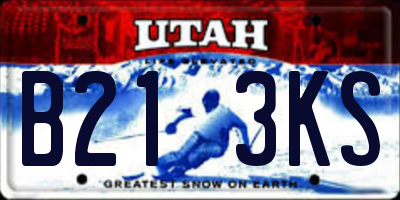 UT license plate B213KS