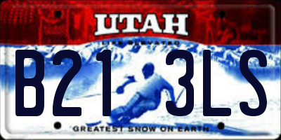 UT license plate B213LS