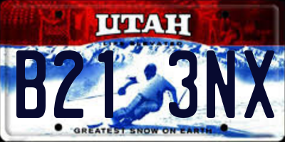 UT license plate B213NX