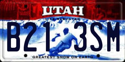 UT license plate B213SM